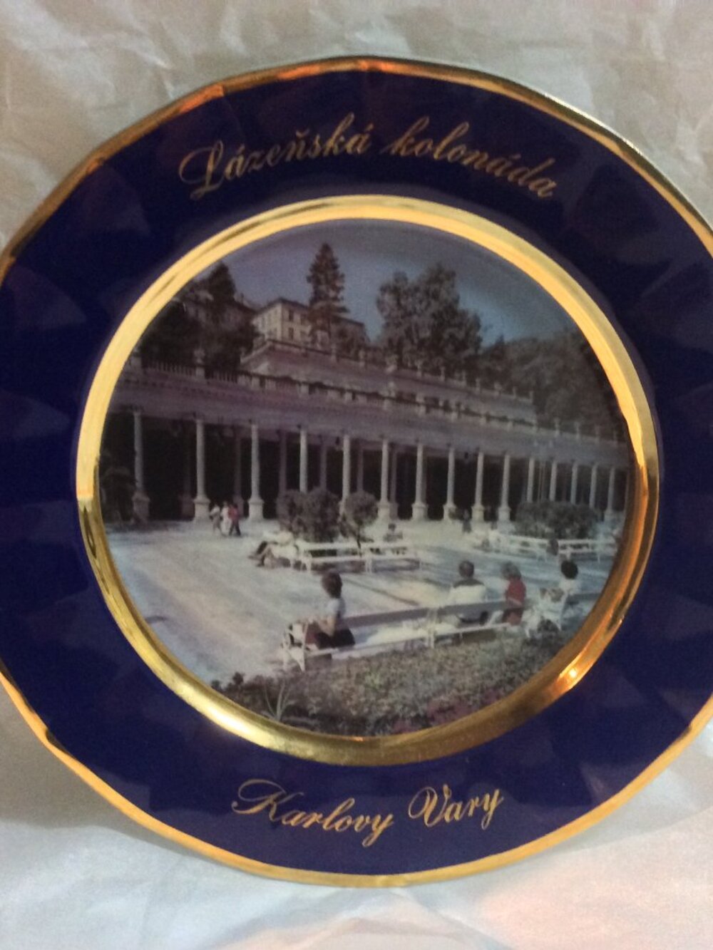 Vintage EPIAG DF Carlsbad Cobalt Blue Plate Karlovy Vary Czech Porcelain